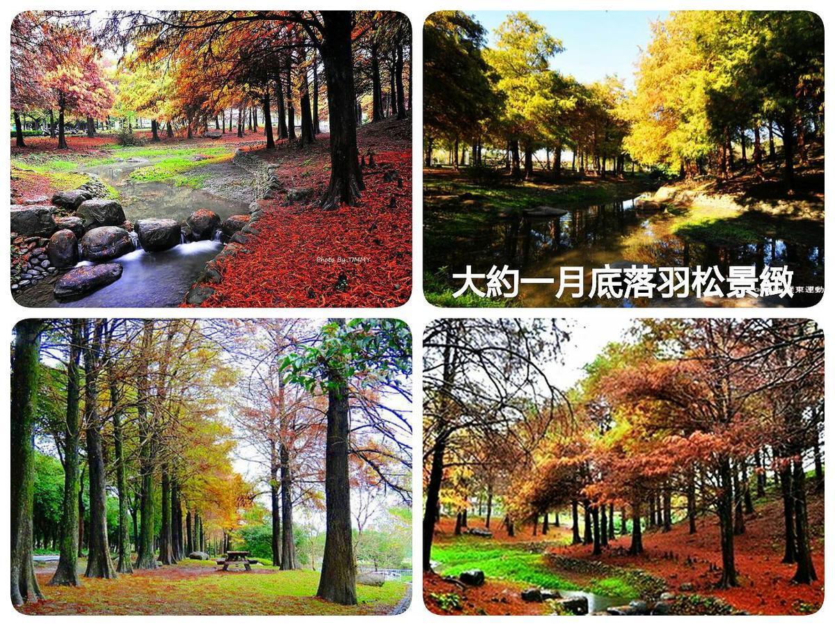 公園 B&B Luodong Zewnętrze zdjęcie
